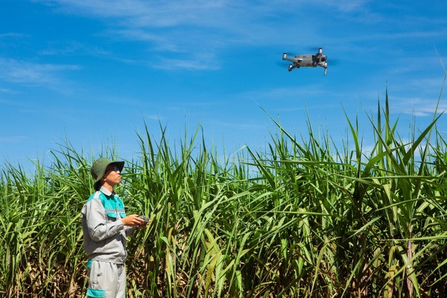 Nông trường công nghệ cao của AgriS tại tỉnh Tây Ninh