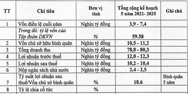 Chỉ số tài chính công ty mẹ PVFCCo giai đoạn 2021-2025