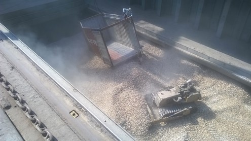 Vì sao sản xuất ethanol tại Việt Nam ‘thoi thóp’ ảnh 1