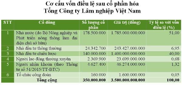 VINAFOR thành lập liên doanh sản xuất bột giấy trị giá 3.500 tỷ đồng ảnh 1