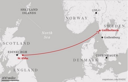 Máy ảnh thất lạc dưới biển “tái ngộ” chủ sau 3 năm, vẫn hoạt động bình thường ảnh 1