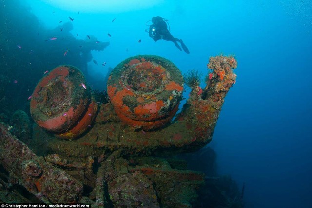 Khám phá “kho báu” của Mỹ dưới đáy Thái Bình Dương ảnh 2