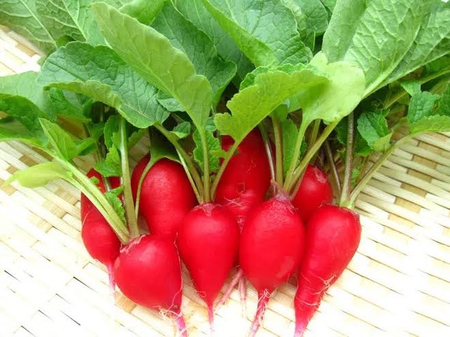 5 “thần dược” giá bình dân bổ như nhân sâm ảnh 4