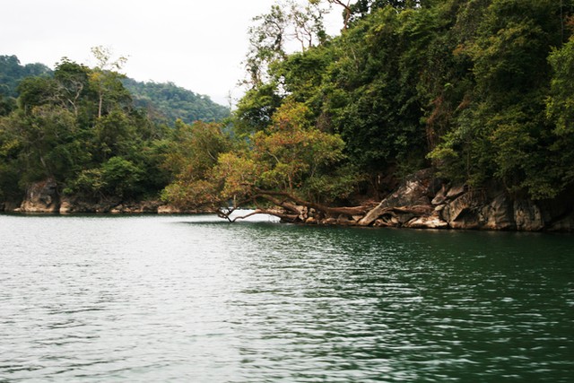 Ba Bể mùa bướm bay ảnh 1