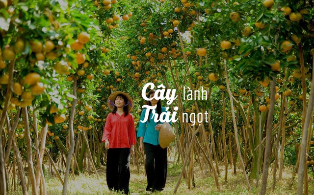 6 lý do khiến miền Tây trở nên hấp dẫn ảnh 3