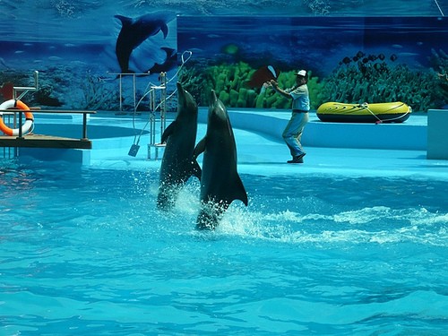 Cách du lịch Tuần Châu 2 ngày 1 đêm giá rẻ ảnh 2