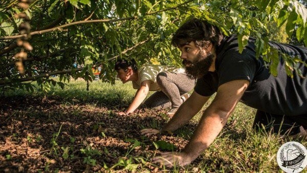 Độc đáo cuộc thi “vô địch trốn tìm quốc tế” ảnh 2