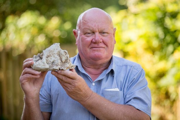 Nhặt được chất nôn cá voi bán giá gần 2 tỉ đồng ảnh 2