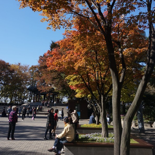 Hướng dẫn cài đặt và dùng ứng dụng “hot” Prisma ngay trên Windows hoặc Mac ảnh 7