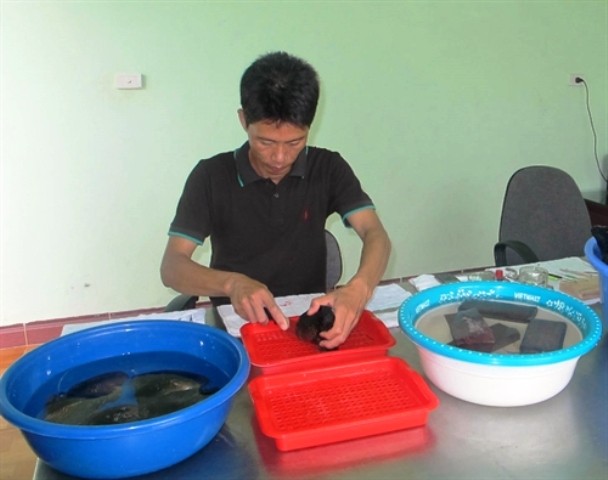 Nông dân Ninh Bình nuôi ngọc trai nước ngọt kiếm tiền tỷ mỗi năm ảnh 2