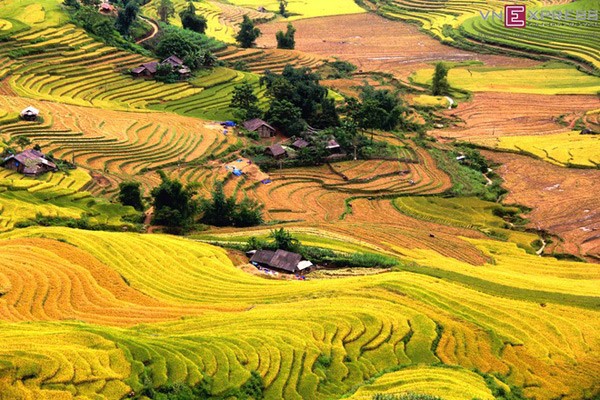 Tháng 9 rồi, lên 6 địa điểm này ở phía Bắc mà ngắm mùa thu tuyệt đẹp thôi! ảnh 1