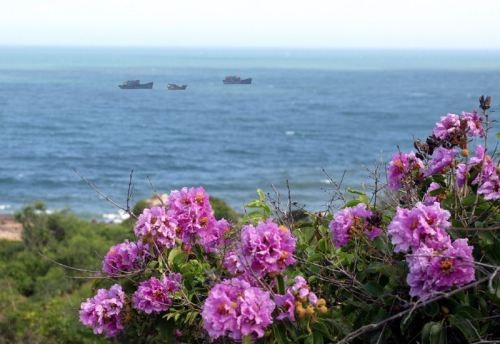 Kinh nghiệm du lịch bụi Cổ Thạch trong 2 ngày 1 đêm ảnh 1