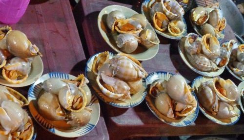 Kinh nghiệm du lịch bụi Cổ Thạch trong 2 ngày 1 đêm ảnh 3