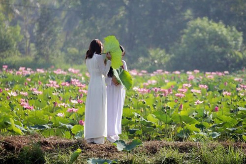 3 gợi ý 'đi trốn' giữa thiên nhiên ngay gần Sài Gòn ảnh 17