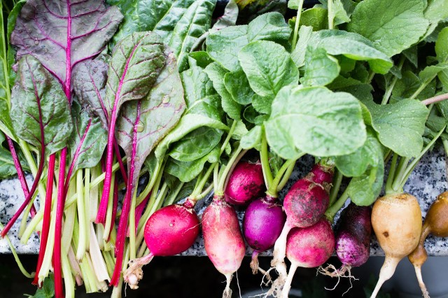 Vườn rau treo ngược trên trần nhà của chàng trai 9X ảnh 9