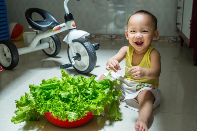 Vườn rau treo ngược trên trần nhà của chàng trai 9X ảnh 13