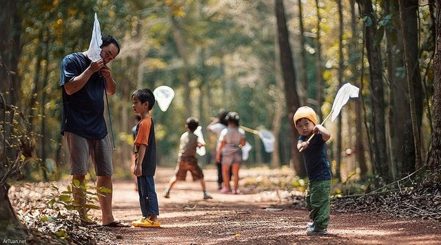 Những mùa thay lá quyến rũ nhất Việt Nam ảnh 9