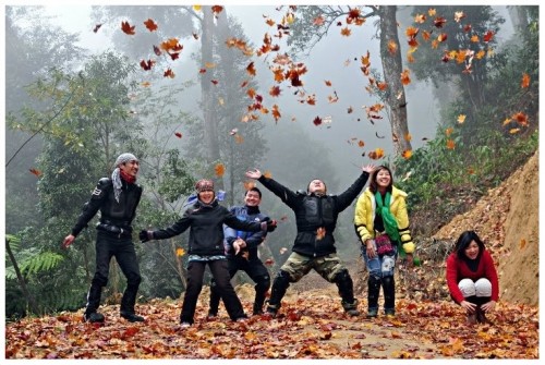 Những mùa thay lá quyến rũ nhất Việt Nam ảnh 11