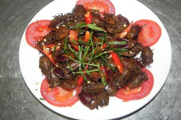 Thạc sỹ lương không đủ sống, bỏ bục giảng đi nuôi dế ảnh 6