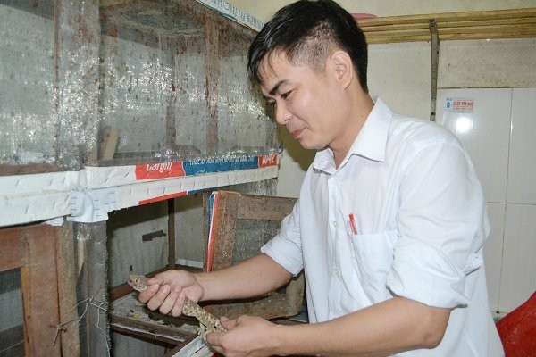 Thạc sỹ lương không đủ sống, bỏ bục giảng đi nuôi dế ảnh 3