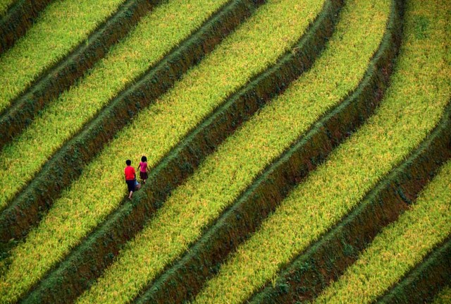 Thu sang, miền sơn cước Mù Cang Chải đẹp đến nao lòng ảnh 6