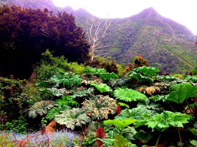 Những điểm đến bước ra từ... trang sách ảnh 13