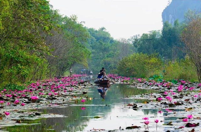 Chạm tay vào sắc thu Yến Vĩ ảnh 2