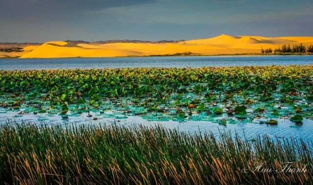 Những cung đường tuyệt vời nhất định phải đi tháng 11 ảnh 15