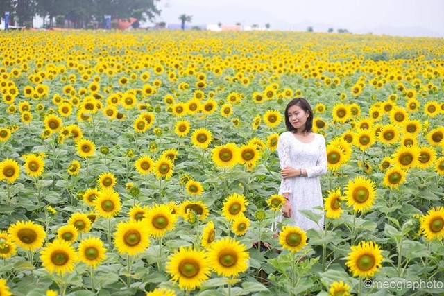 Những cung đường tuyệt vời nhất định phải đi tháng 11 ảnh 9