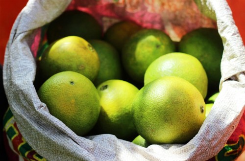 Cam ruột đỏ gây 'sốt' ảnh 1