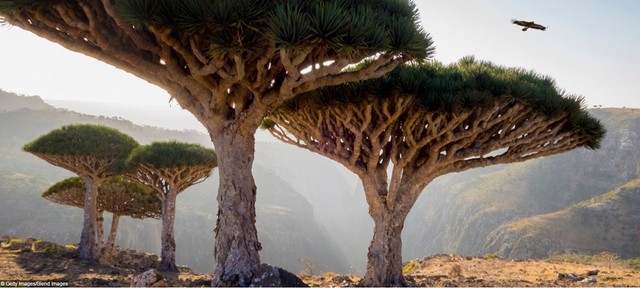 Những điểm du lịch đẹp tuyệt vời mà rất ít người nghe danh ảnh 12