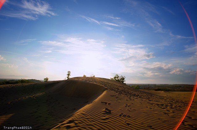 Du lịch du mục ở Ninh Thuận ảnh 2