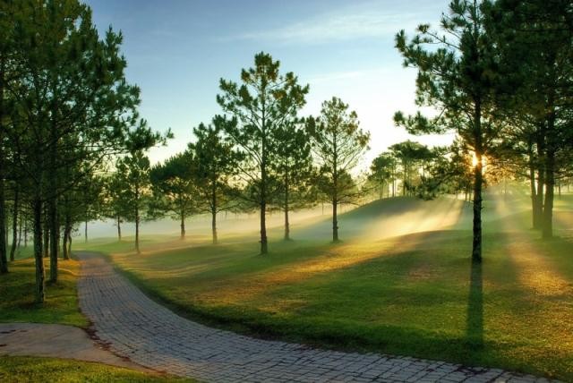 5 điểm đến lý tưởng cho các cặp đôi dịp cuối năm ảnh 5