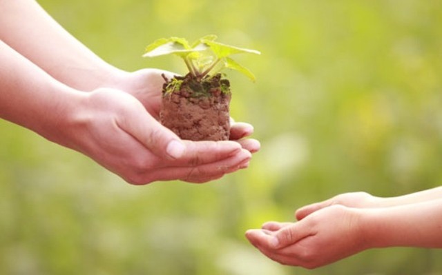 5 bước làm ngay để giàu có vào năm sau ảnh 2