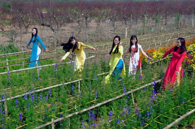 24h đi chơi dịp Tết dương ngay trong Hà Nội ảnh 5