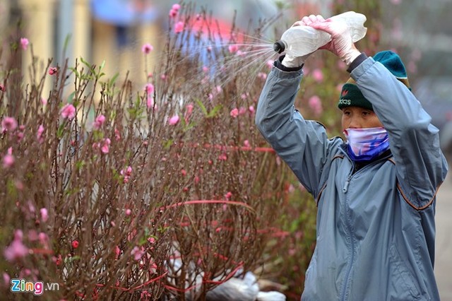 2 triệu đồng một cây đào thất thốn, khách không buồn mặc cả ảnh 2