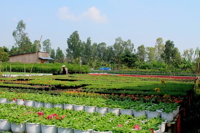 10 làng quê Việt Nam đẹp như miền cổ tích ảnh 10