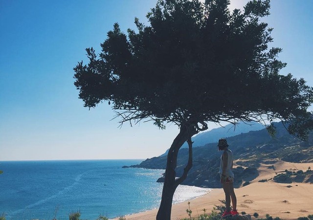 Khám phá thảo nguyên Mông Cổ ngay tại Việt Nam ảnh 2