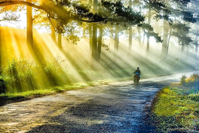 Những cái 'KHÔNG' thú vị ở Đà Lạt ảnh 3