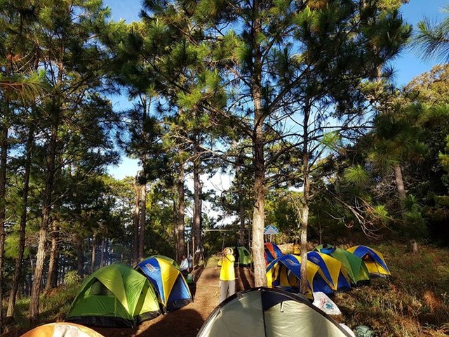 Chinh phục đỉnh Bidoup - 'nóc nhà' Lâm Đồng ảnh 3