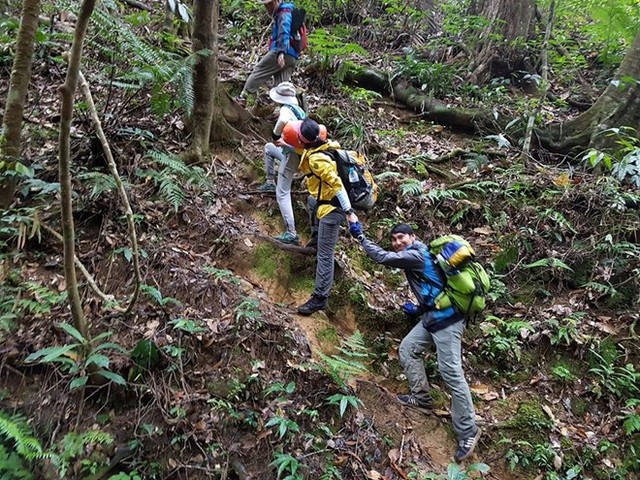 Chinh phục đỉnh Bidoup - 'nóc nhà' Lâm Đồng ảnh 4