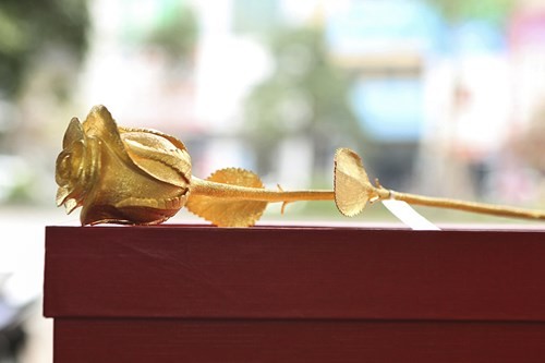 Săn hồng đúc bằng 50 chỉ vàng làm quà tặng dịp 8/3 ảnh 2 Săn hồng đúc bằng 50 chỉ vàng làm quà tặng dịp 8/3 ảnh 2