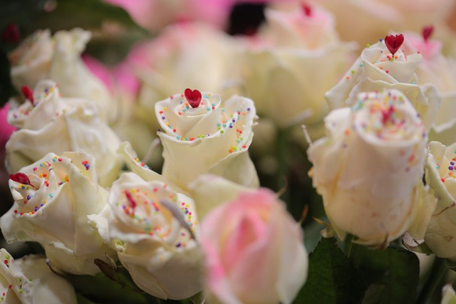 Ngày 8/3: Hoa hồng phủ chocolate Hà Lan giá “chát” vẫn “cháy hàng“ ảnh 3