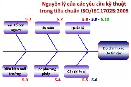 Nỗi đau của thủy sản Việt Nam khi bị truyền thông phương Tây “tố” ảnh 3