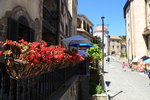 Sắc hoa rực rỡ tại Bà Nà Hills ảnh 2