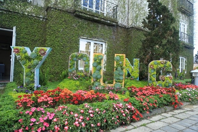 Sắc hoa rực rỡ tại Bà Nà Hills ảnh 3