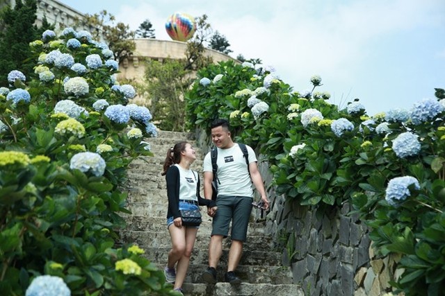 Sắc hoa rực rỡ tại Bà Nà Hills ảnh 6