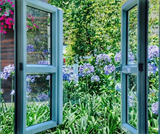 Sắc hoa rực rỡ tại Bà Nà Hills ảnh 7