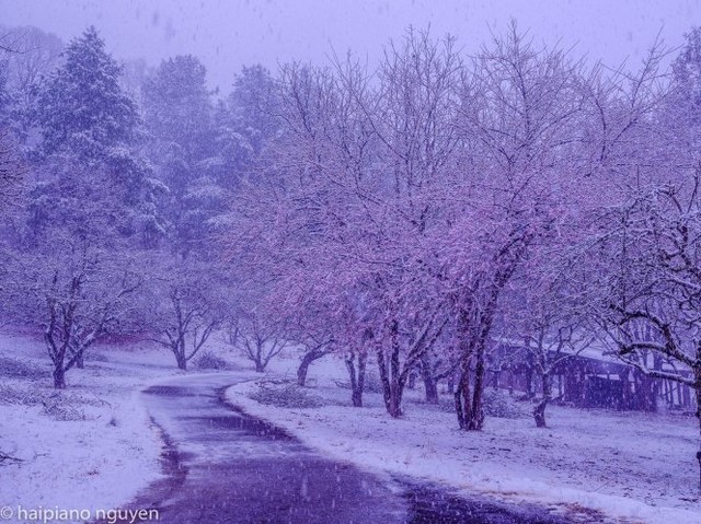 Bhutan mùa tuyết tan ảnh 8