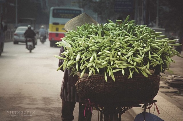 Gánh loa kèn và nỗi nhớ tháng 4 ảnh 2